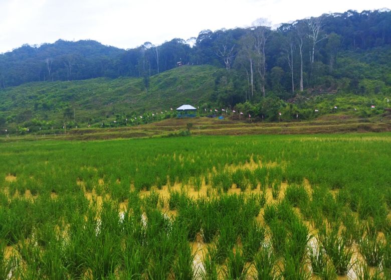 Menolak Aji Mumpung: Belajar dari Petani Thailand
