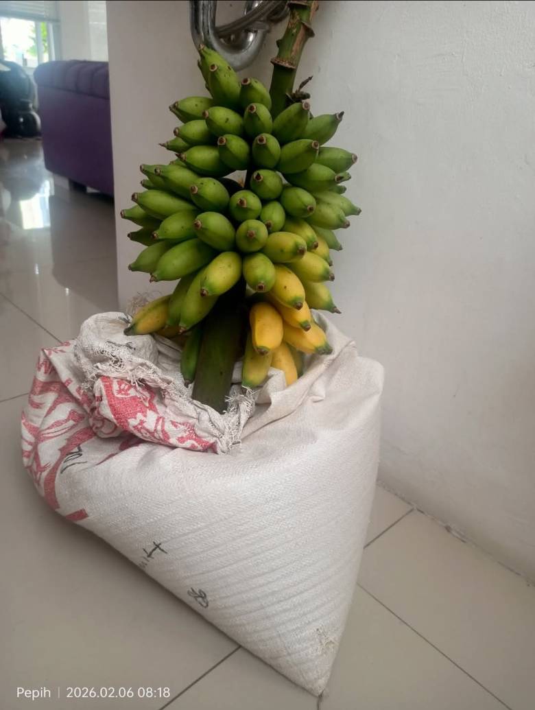 Bahagia Itu Bersahaja