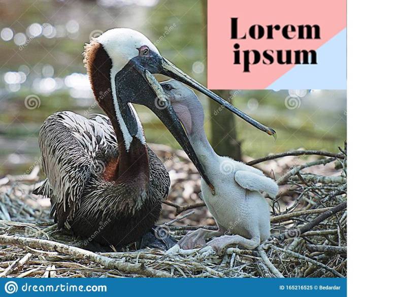 Lorem Ipsum  | Mencinta hingga Terluka